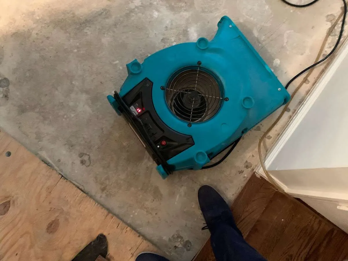 Air mover drying subfloor during Leak Detection & Repair in Montevallo